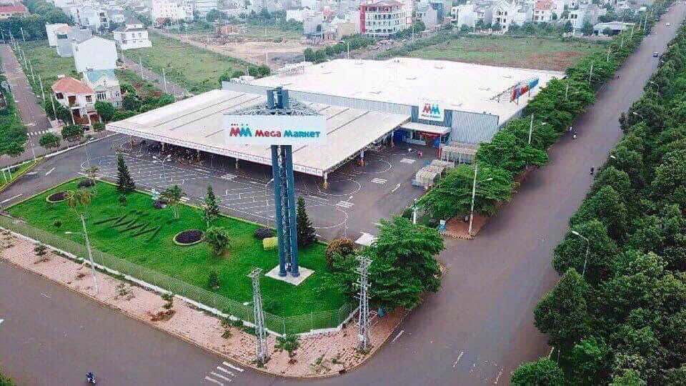 lĩnh vực hoạt động